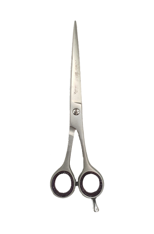 Paragon 5.5 inch Scissors. Hair Salon Cutting Scissors. Stainless Steel.