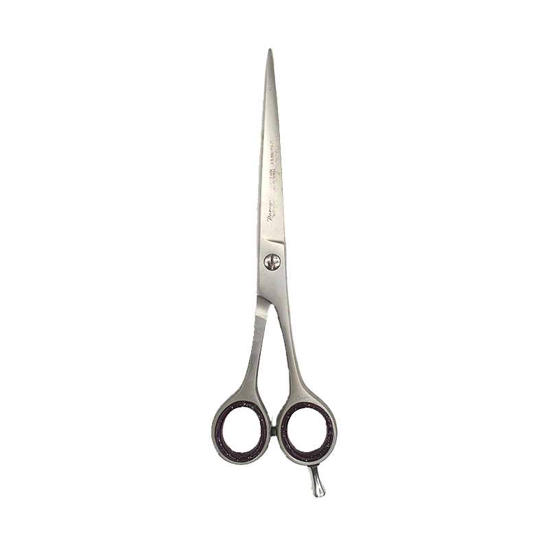 Paragon 5.5 inch Scissors. Hair Salon Cutting Scissors. Stainless Steel.