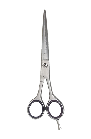 Paragon Scissors (802). 5.5" inch. Hair Salon Cutting Scissors. Stainless Steel.