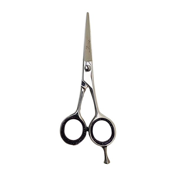 Paragon 5 Inch Scissor (HS-1202). Hair Salon Cutting Scissors. Stainless Steel.