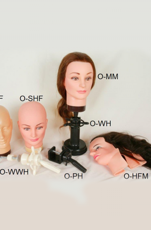 Hair Training Heads. 7 variations.